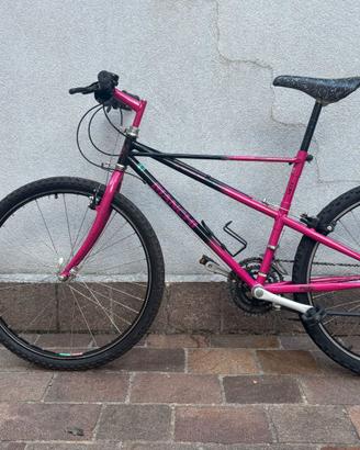 bicicletta MTB bianchi RAGNO