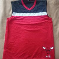 Canotta Vintage Chicago Bulls Adidas NBA Basket