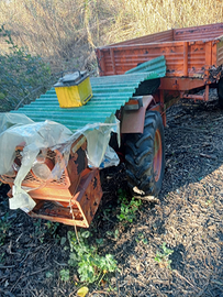 Motocoltivatore usato