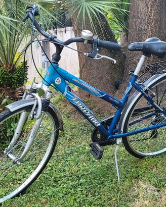Bici Torpado Ammortizzata. cerchi  da 28   