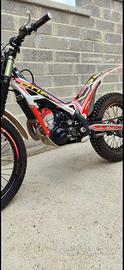 Trial TRS AE 2023