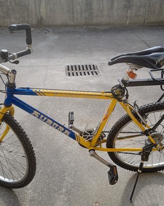 Mountain-bike Aurora