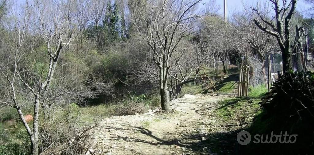 Immobile in asta di 4300 m² a Cerchiara di Calabri - Altro