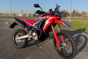 HONDA CRF 300 RALLY PARI AL NUOVO 1.800 KM - 2025