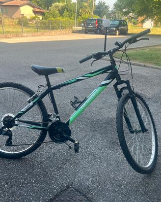 Bicicletta