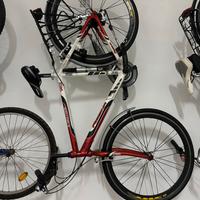Bicicletta Lombardo e Regina