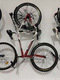 Bicicletta Lombardo e Regina