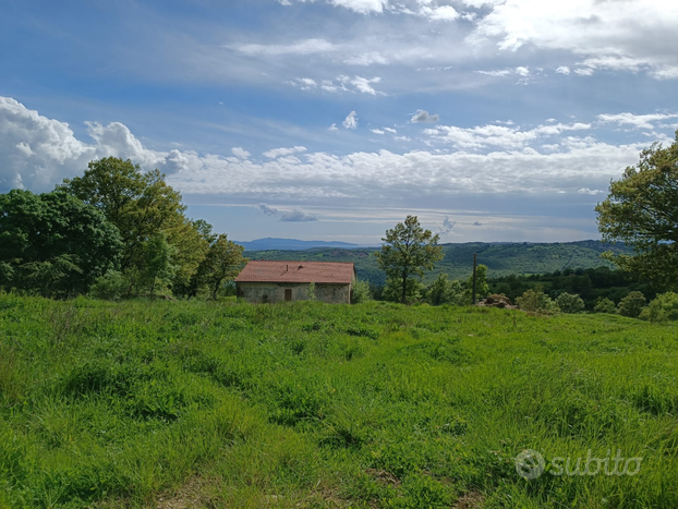 Podere in Maremma