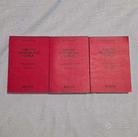 Diritto processuale civile Luiso