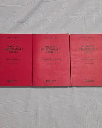 Diritto processuale civile Luiso