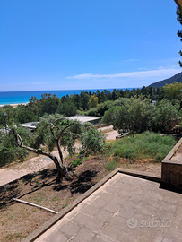 200 mt dal mare Cala Sinzias 8 posti letto