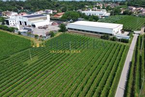 Terreno edificabile - Valeggio sul Mincio