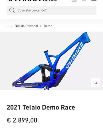 Kit Telaio Dh 29” Specialized demo 2021
