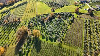 TERRENO A PUEGNAGO SUL GARDA