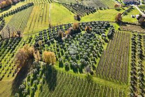 TERRENO A PUEGNAGO SUL GARDA