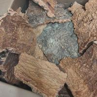 Corteccia di sughero made in Italy
