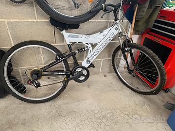 Mountain bike