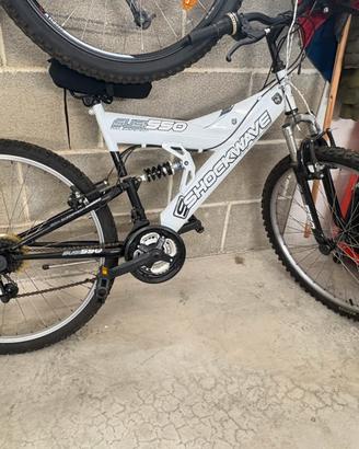 Mountain bike