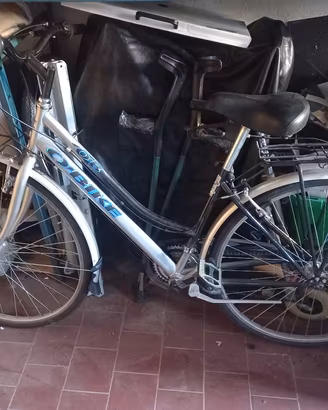 bici da passeggio uomo e donna 