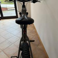 E-bike Focus Jarifa taglia M e taglia L