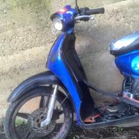 Scarabeo 50