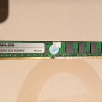 Scheda ram Nilox 2gb