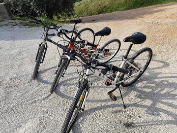 MONTAIN BIKE MTB IN BLOCCO 