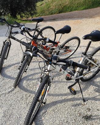 MONTAIN BIKE MTB IN BLOCCO 