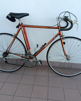 Bicicletta da corsa Wilier Triestina