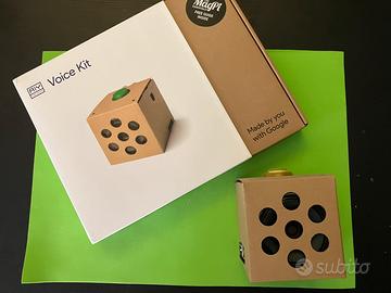Maker kit elettronico google DIY voice