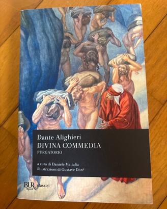 divina commedia PURGATORIO