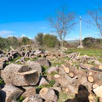 Taglia legna/decespugliamento