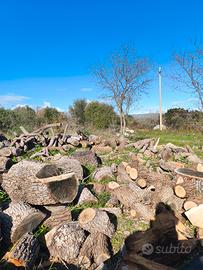 Taglia legna/decespugliamento