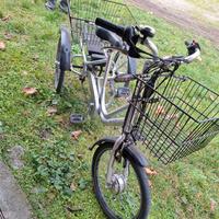 Bicicletta a 3 ruote elettrica