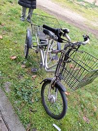 Bicicletta a 3 ruote elettrica