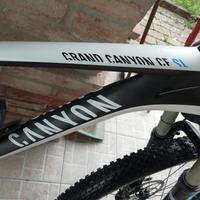 MTB CANYON