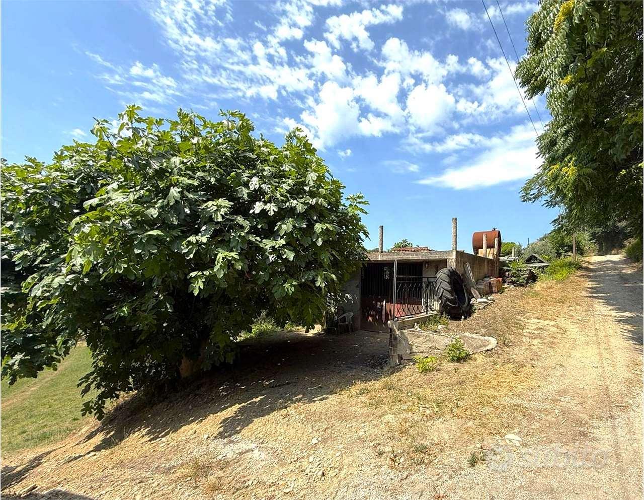 LOTTO DI TERRENO AGRICOLO in ZONA CAMPOFILONE - Altro