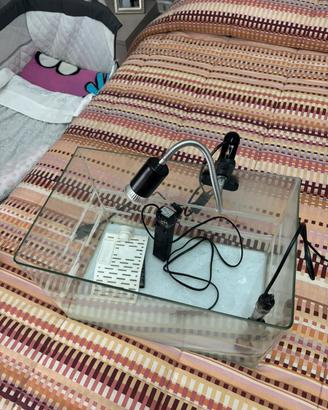 Acquario per tartarughe completo di tutto