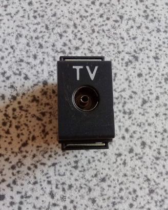 Presa TV Serie Living Bticino originale 
