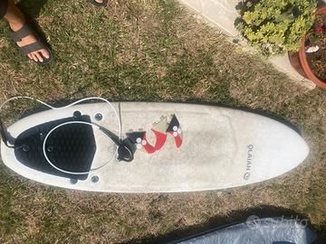 Tavola surf olaian