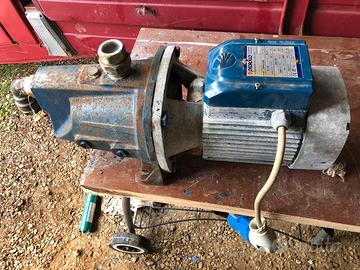 Elettropompa Pedrollo, per irrigazione o altro