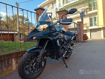 Benelli 502 2023