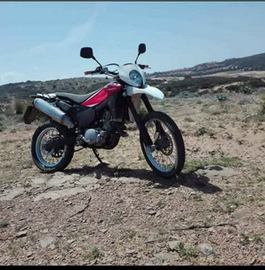 Husqvarna 2013 / Aprilia Falco 2000