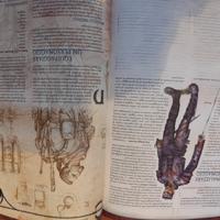 manuale del giocatore di dungeon & dragons 3.0