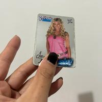 Torrie Wilson card wwe smackdown 2004 Holo silver