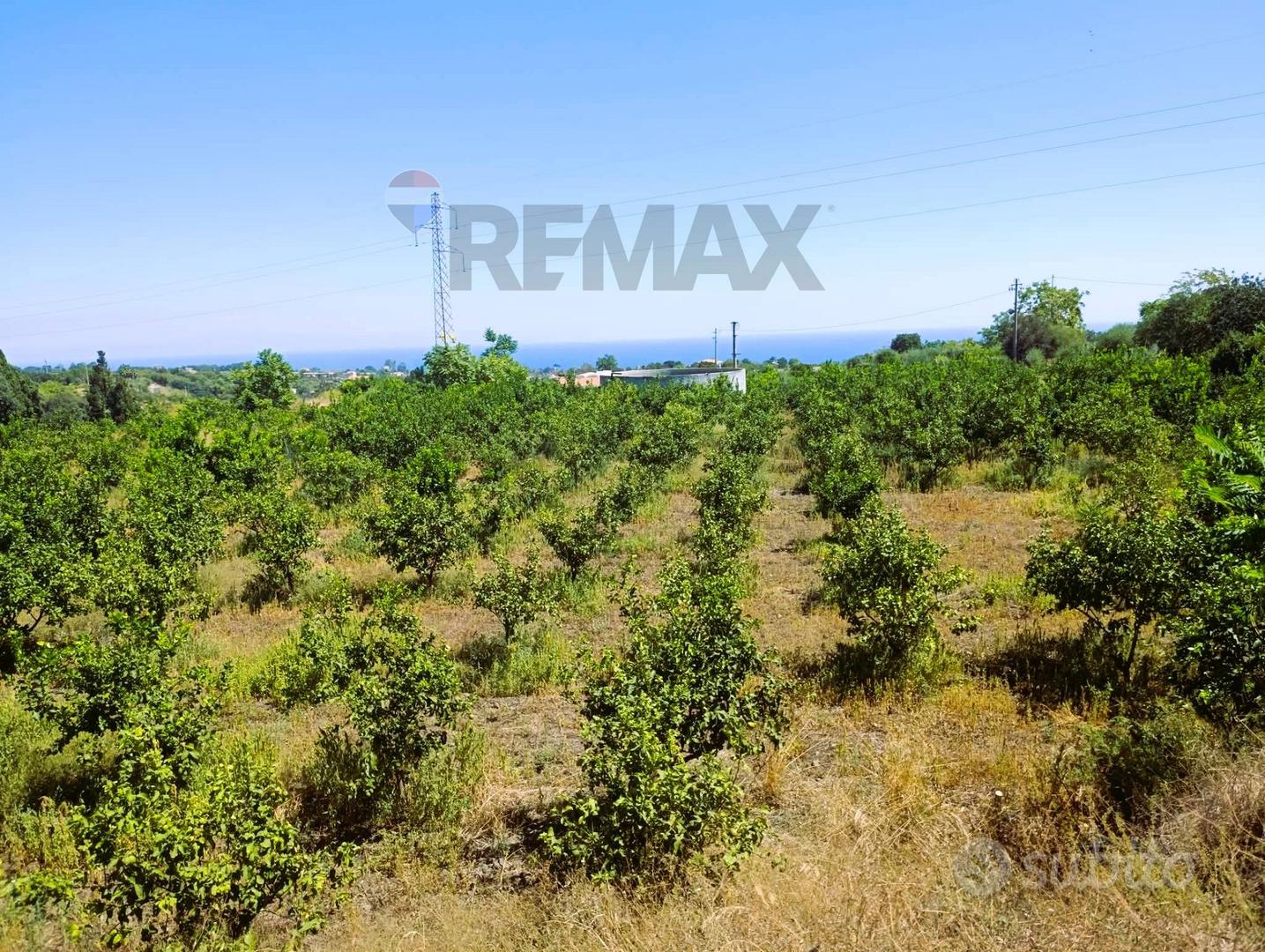 Terreno - Santa Venerina - Vista 3