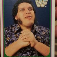 figurina wrestling ANDRE THE GIANT