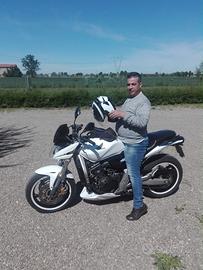 Honda hornet