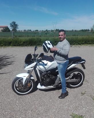 Honda hornet
