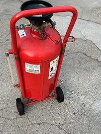 Nebulizzatore  autolavaggio
